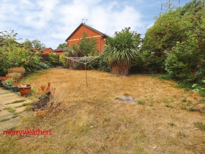 Picture 11
